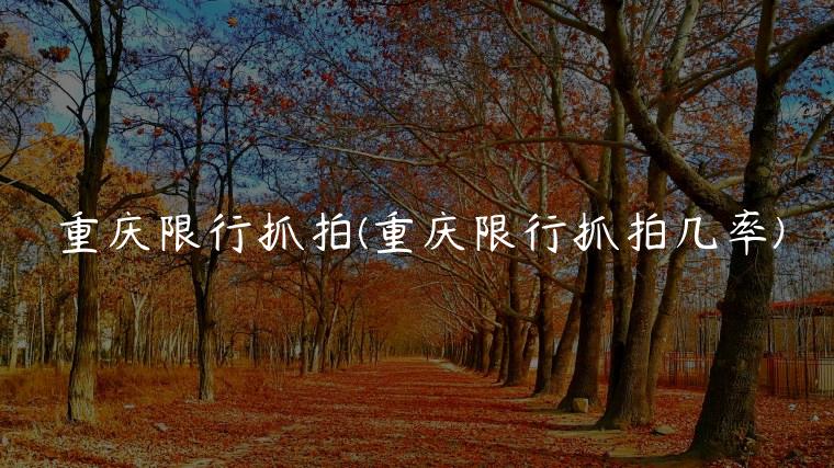 重庆限行抓拍(重庆限行抓拍几率)