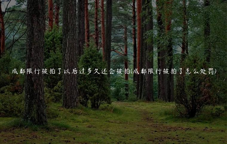 成都限行被拍了以后过多久还会被拍(成都限行被拍了怎么处罚)