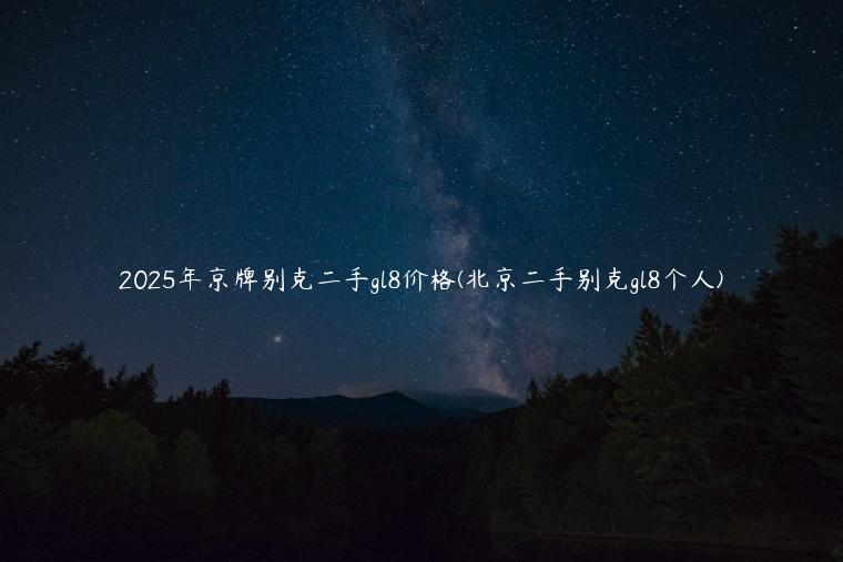 2025年京牌别克二手gl8价格(北京二手别克gl8个人)