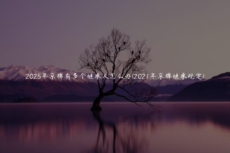 2025年京牌有多个继承人怎么办(2021年京牌继承规定)