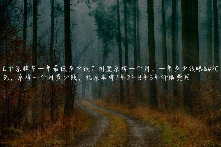 租个京牌车一年最低多少钱？闲置京牌一个月、一年多少钱曝光，京牌一个月多少钱，北京车牌1年2年3年5年价格费用