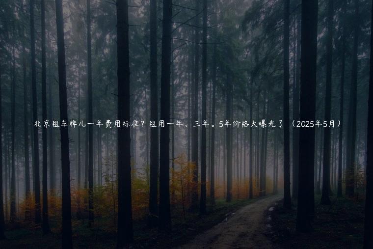 北京租车牌儿一年费用标准？租用一年、三年。5年价格大曝光了 （2025年5月）