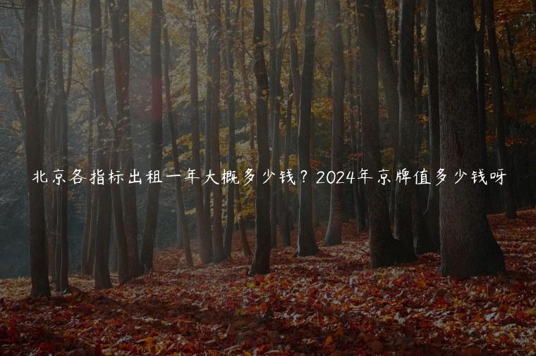 北京各指标出租一年大概多少钱？2024年京牌值多少钱呀