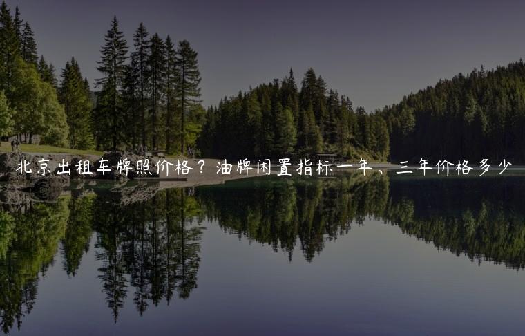 北京出租车牌照价格？油牌闲置指标一年、三年价格多少