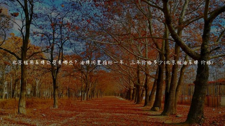 北京租用车牌公司有哪些？油牌闲置指标一年、三年价格多少(北京租油车牌 价格)