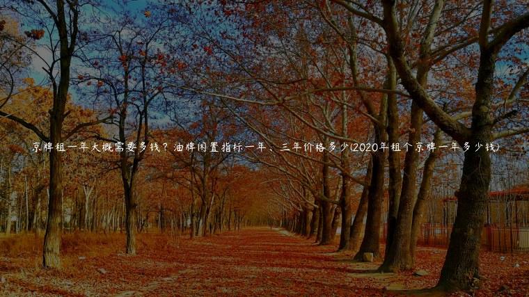京牌租一年大概需要多钱？油牌闲置指标一年、三年价格多少(2020年租个京牌一年多少钱)