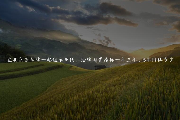 在北京连车牌一起租车多钱、油牌闲置指标一年三年、5年价格多少