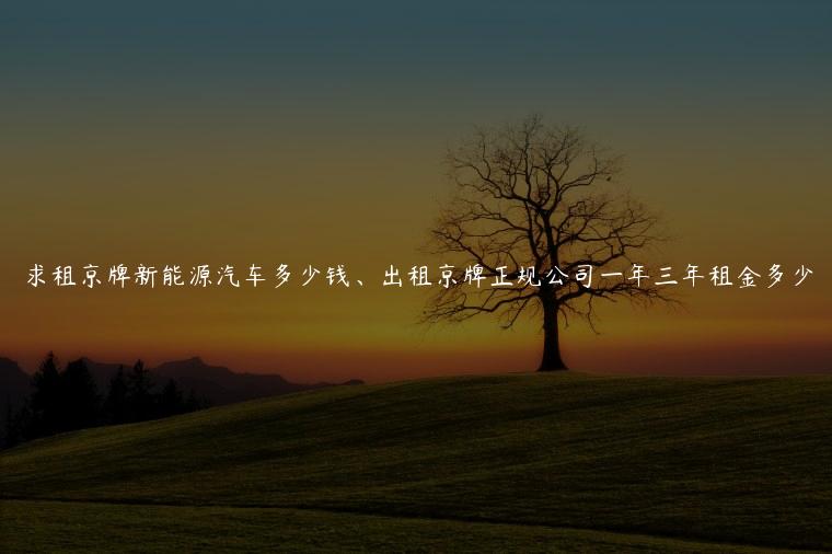 求租京牌新能源汽车多少钱、出租京牌正规公司一年三年租金多少