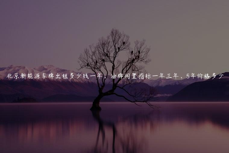 北京新能源车牌出租多少钱一年、油牌闲置指标一年三年、5年价格多少