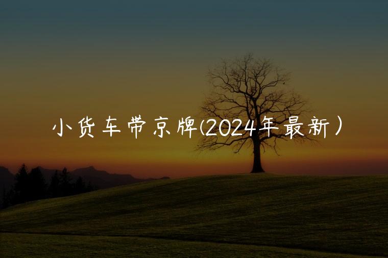 小货车带京牌(2024年最新）