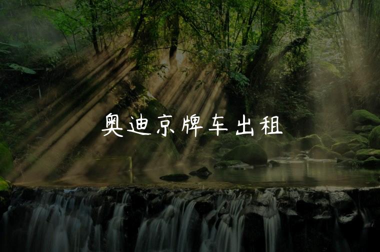 奥迪京牌车出租
