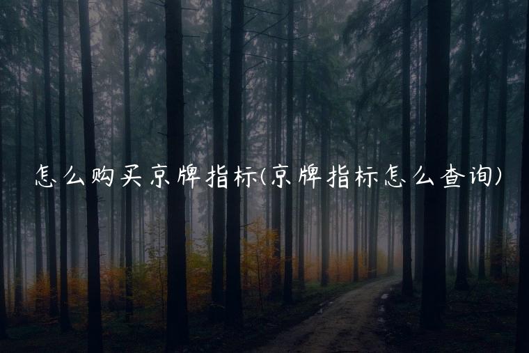 怎么购买京牌指标(京牌指标怎么查询)