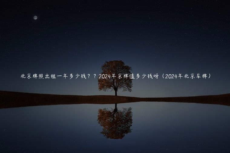 北京牌照出租一年多少钱？？2024年京牌值多少钱呀（2024年北京车牌）