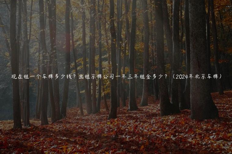 现在租一个车牌多少钱？出租京牌公司一年三年租金多少？（2024年北京车牌）