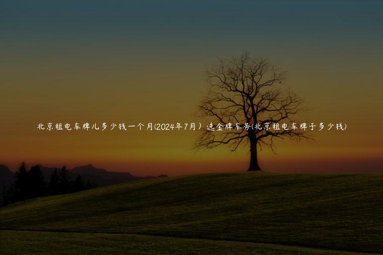 北京租电车牌儿多少钱一个月(2024年7月）选金牌车务(北京租电车牌子多少钱)