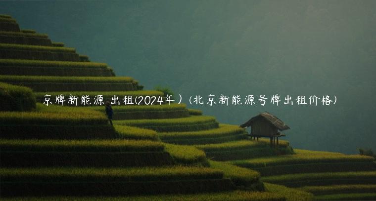 京牌新能源 出租(2024年）(北京新能源号牌出租价格)