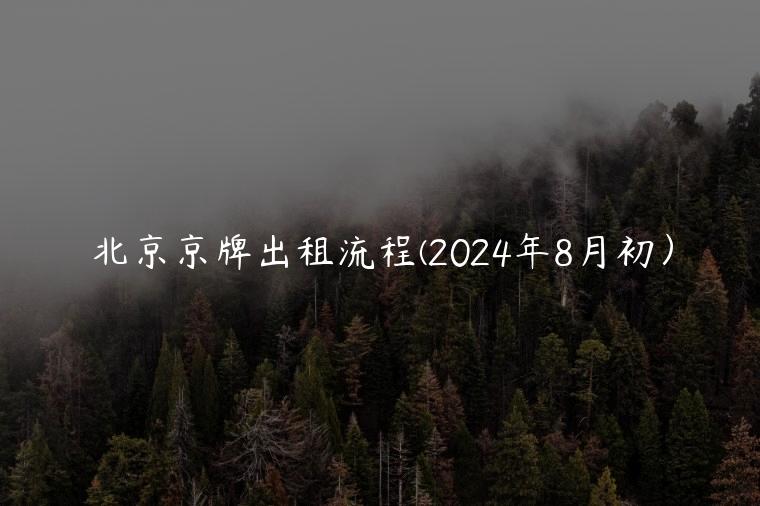 北京京牌出租流程(2024年8月初）