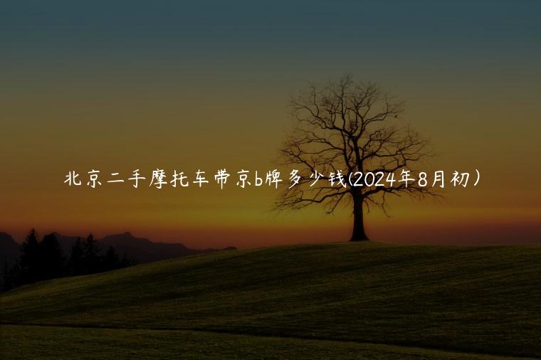 北京二手摩托车带京b牌多少钱(2024年8月初）
