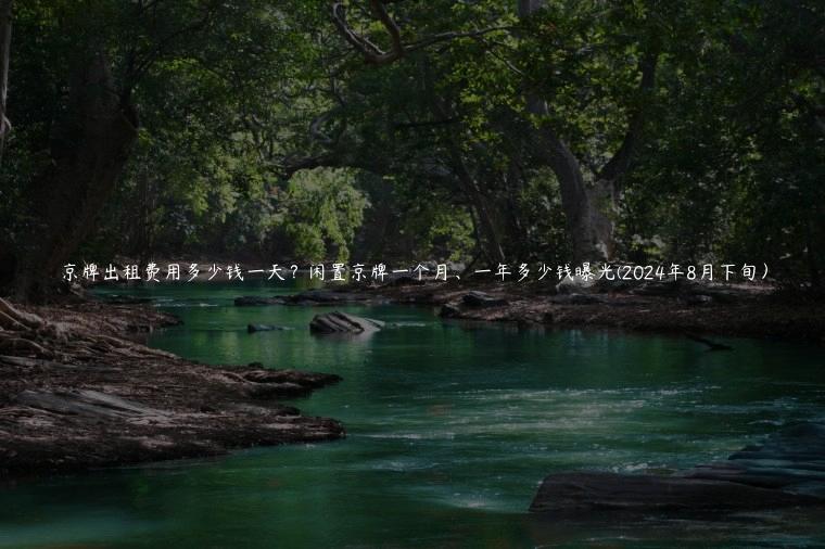 京牌出租费用多少钱一天？闲置京牌一个月、一年多少钱曝光(2024年8月下旬）