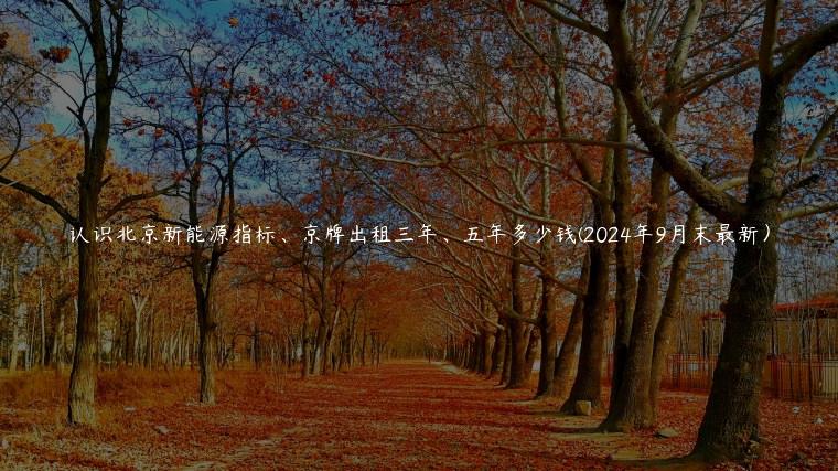认识北京新能源指标、京牌出租三年、五年多少钱(2024年9月末最新）