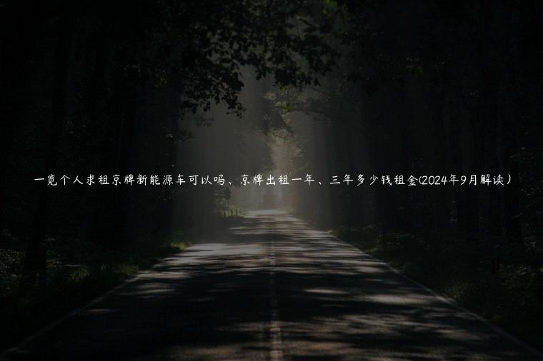 一览个人求租京牌新能源车可以吗、京牌出租一年、三年多少钱租金(2024年9月解读）