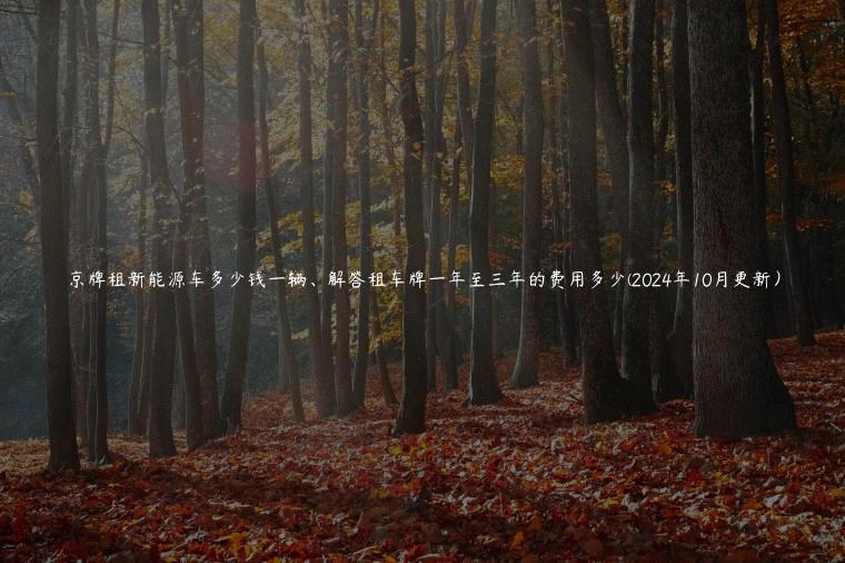 京牌租新能源车多少钱一辆、解答租车牌一年至三年的费用多少(2024年10月更新）