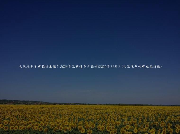 北京汽车车牌指标出租？2024年京牌值多少钱呀(2024年11月）(北京汽车号牌出租价格)