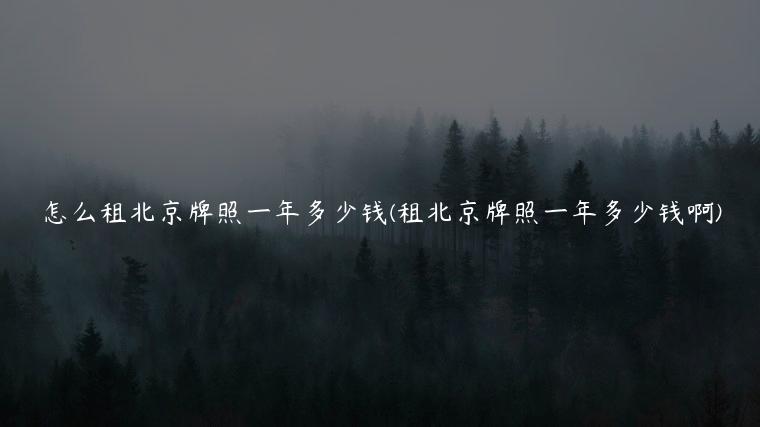 怎么租北京牌照一年多少钱(租北京牌照一年多少钱啊)