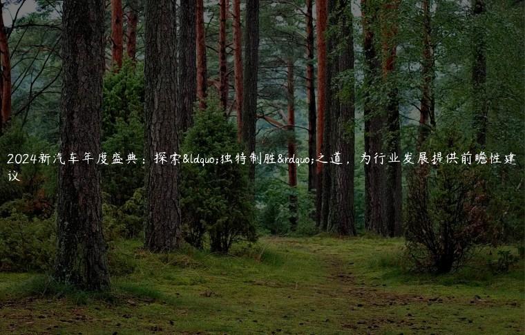 2024新汽车年度盛典：探索“独特制胜”之道，为行业发展提供前瞻性建议