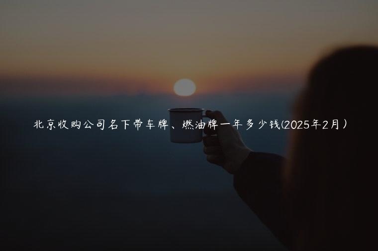 北京收购公司名下带车牌、燃油牌一年多少钱(2025年2月）
