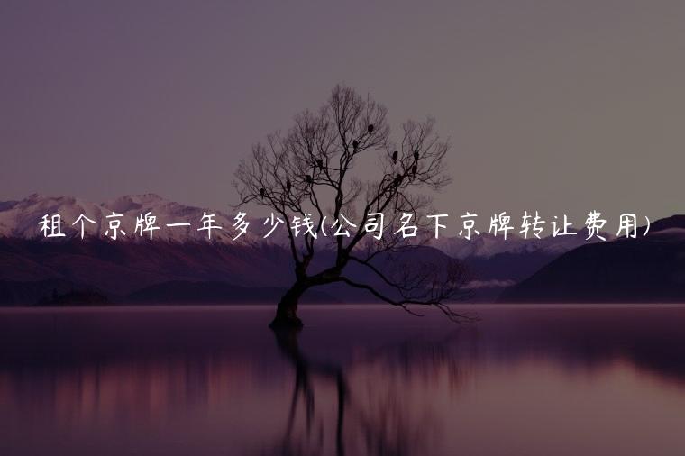 租个京牌一年多少钱(公司名下京牌转让费用)