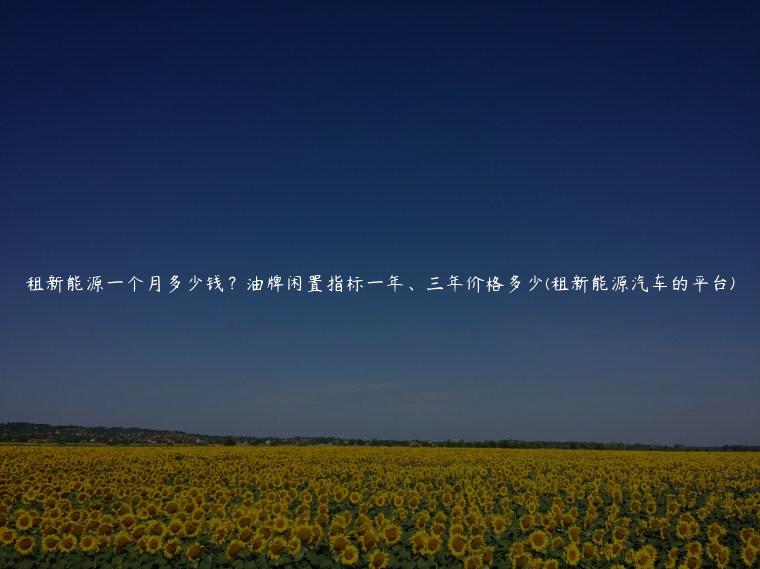 租新能源一个月多少钱？油牌闲置指标一年、三年价格多少(租新能源汽车的平台)