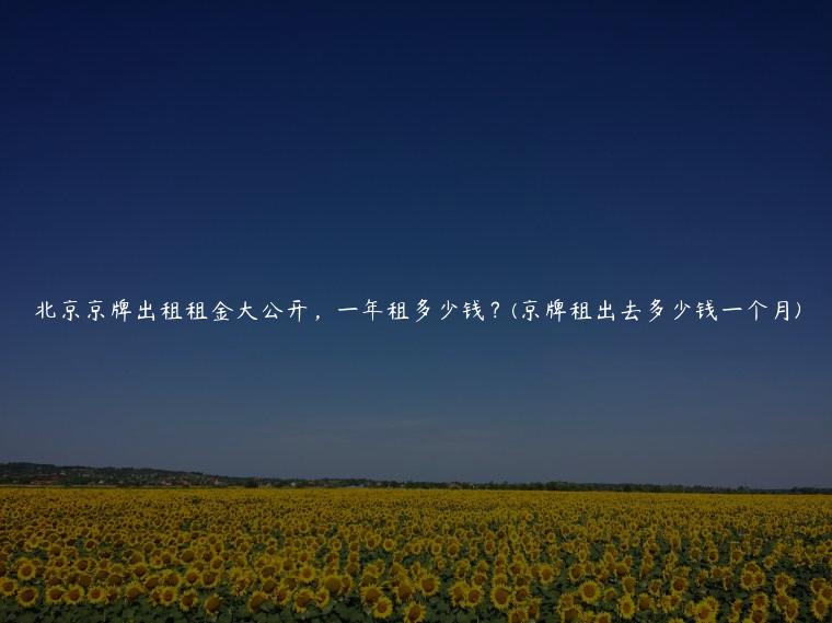 北京京牌出租租金大公开，一年租多少钱？(京牌租出去多少钱一个月)