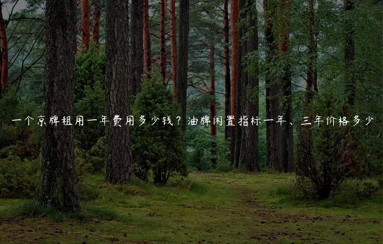 一个京牌租用一年费用多少钱？油牌闲置指标一年、三年价格多少