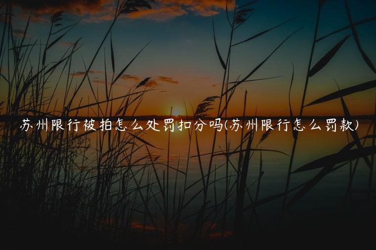 苏州限行被拍怎么处罚扣分吗(苏州限行怎么罚款)