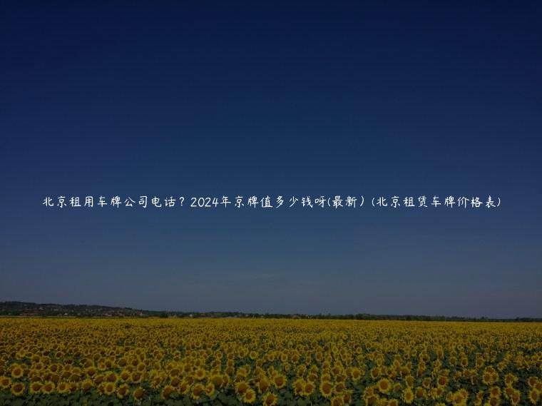 北京租用车牌公司电话？2024年京牌值多少钱呀(最新）(北京租赁车牌价格表)