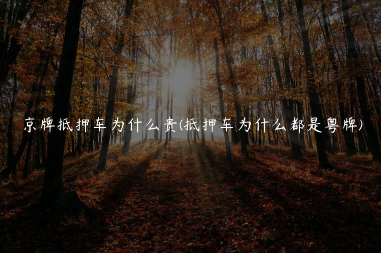京牌抵押车为什么贵(抵押车为什么都是粤牌)