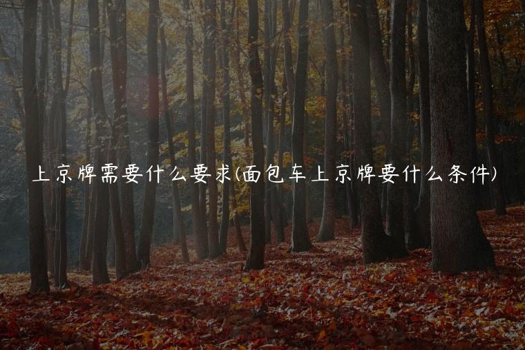 上京牌需要什么要求(面包车上京牌要什么条件)