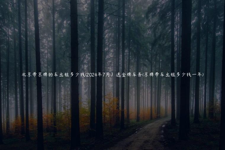 北京带京牌的车出租多少钱(2024年7月）选金牌车务(京牌带车出租多少钱一年)