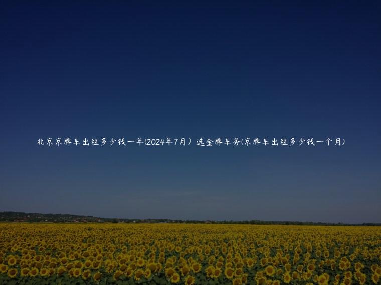 北京京牌车出租多少钱一年(2024年7月）选金牌车务(京牌车出租多少钱一个月)