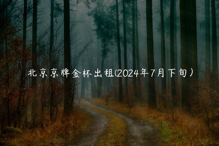 北京京牌金杯出租(2024年7月下旬）
