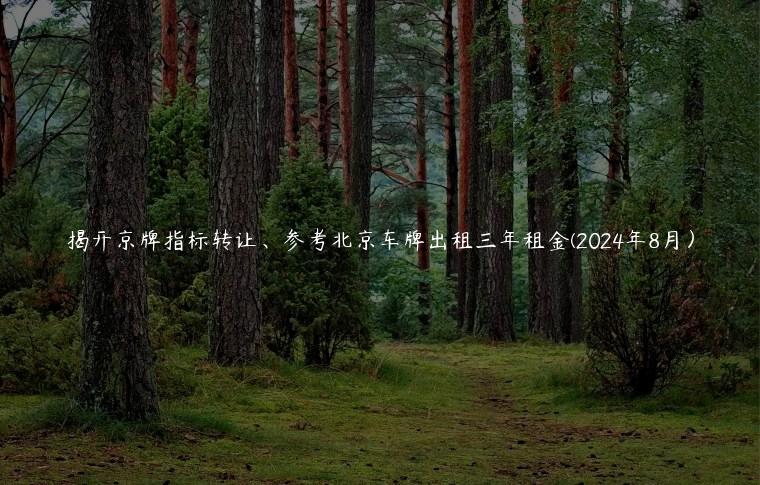 揭开京牌指标转让、参考北京车牌出租三年租金(2024年8月）