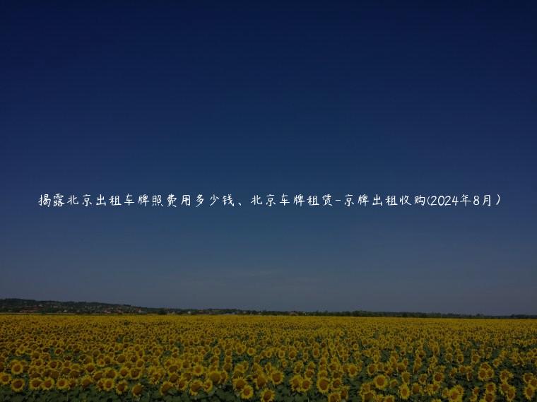 揭露北京出租车牌照费用多少钱、北京车牌租赁-京牌出租收购(2024年8月）