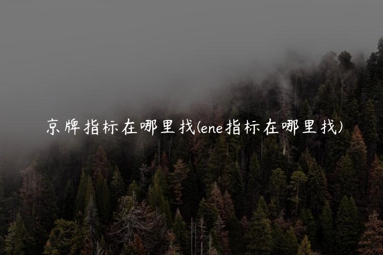 京牌指标在哪里找(ene指标在哪里找)