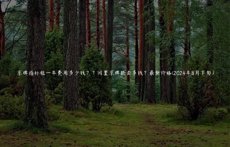 京牌指标租一年费用多少钱？？闲置京牌能卖多钱？最新价格(2024年8月下旬）
