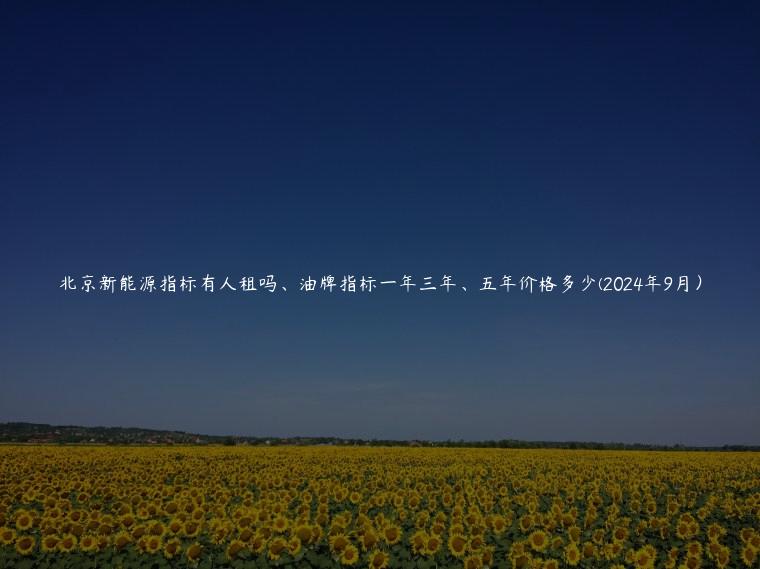 北京新能源指标有人租吗、油牌指标一年三年、五年价格多少(2024年9月）