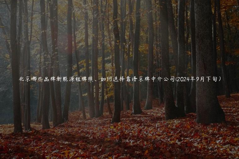 北京哪些品牌新能源租牌照、如何选择靠谱京牌中介公司(2024年9月下旬）