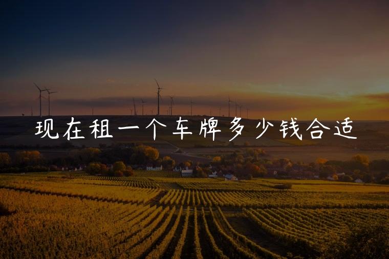现在租一个车牌多少钱合适