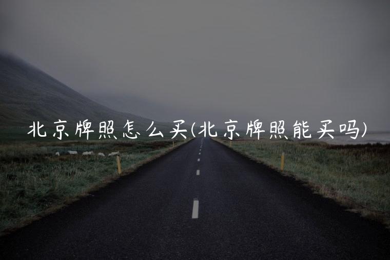 北京牌照怎么买(北京牌照能买吗)
